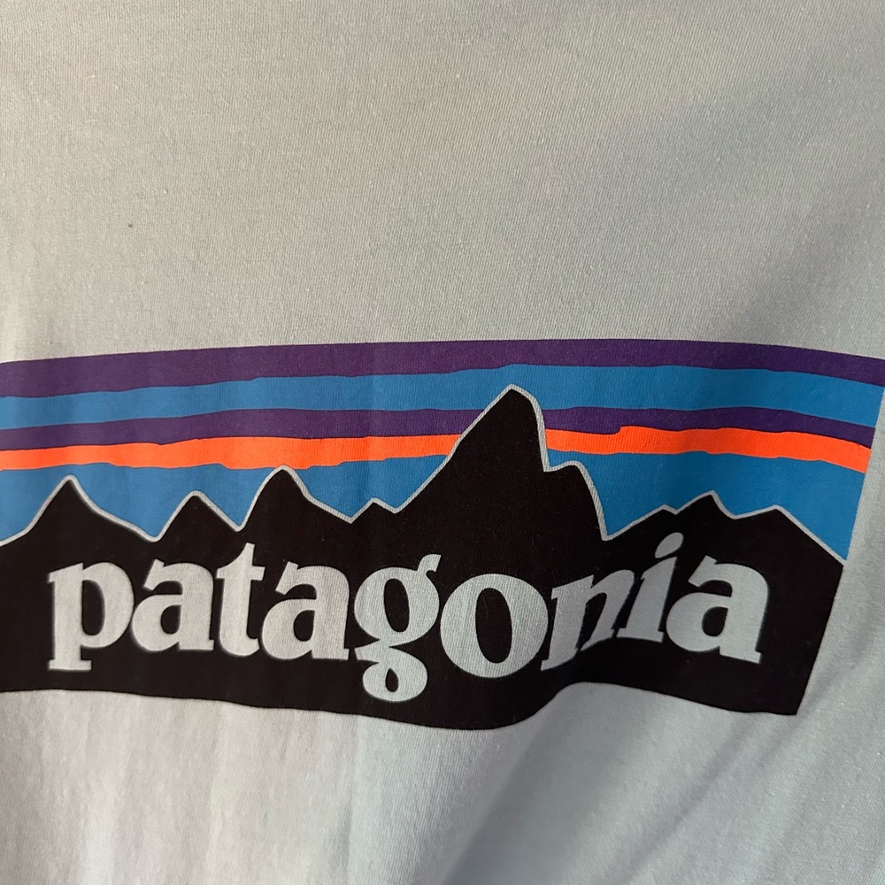 Patagonia Regular Fit Tee in Light Gray